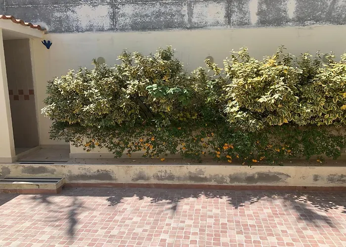 Mari-mare Σπίτι διακοπών Rodi Garganico